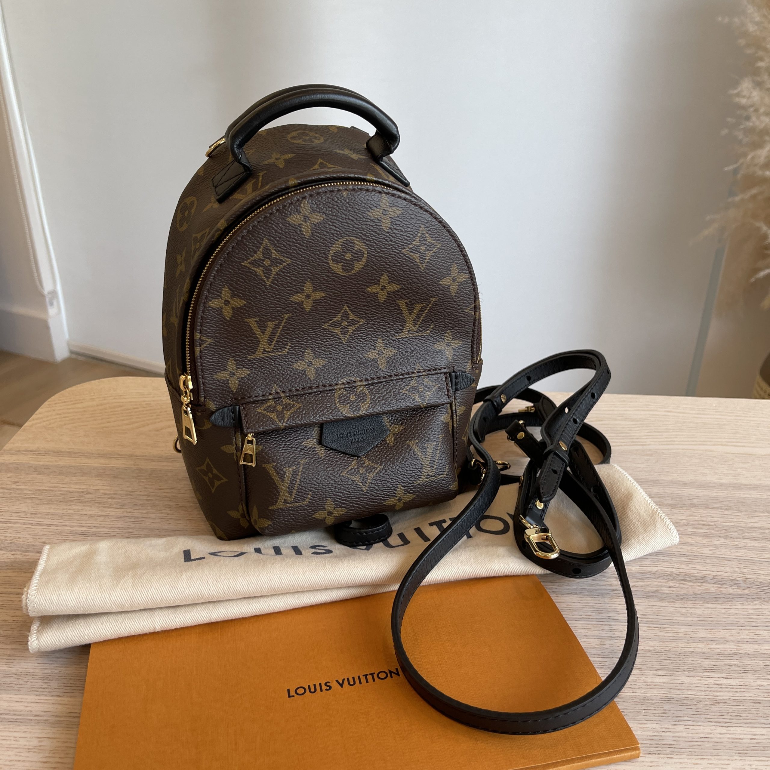Louis Vuitton Monogram Palm Springs Mini NV