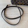 Louis Vuitton Damier Ebene Favorite PM